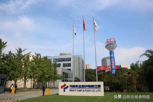 以智戰“?！?光明乳業5C競爭力驅動總部管理，煥發鮮奶產業新活力